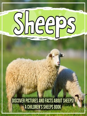 cover image of Sheeps